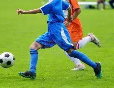 传奇球星,罗深情告白,弗格森爵士,开云体育app下载,开云体育官网,开云体育官方网站,开云体育平台