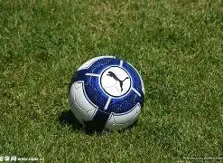 火箭新星格,林独揽,助球队逆袭,开云体育app下载,开云体育官网,开云体育官方网站,开云体育平台